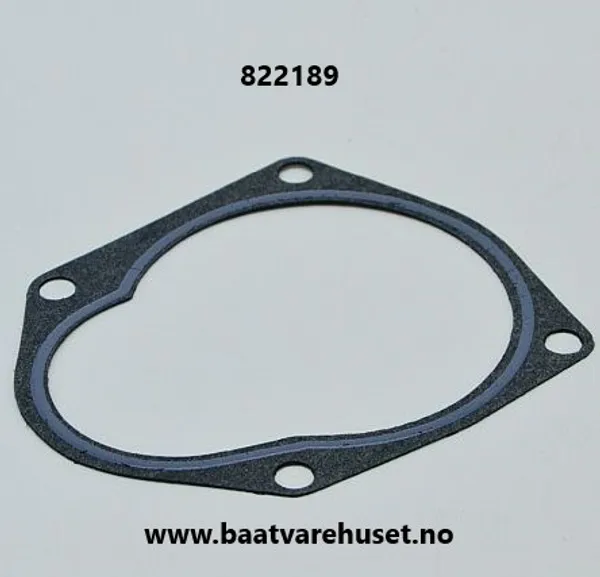 Hovedbilde Quicksilver 822189 pakning 
