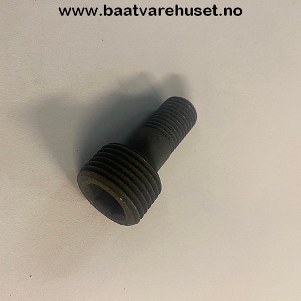 Hovedbilde Volvo Penta 840615 bolt 