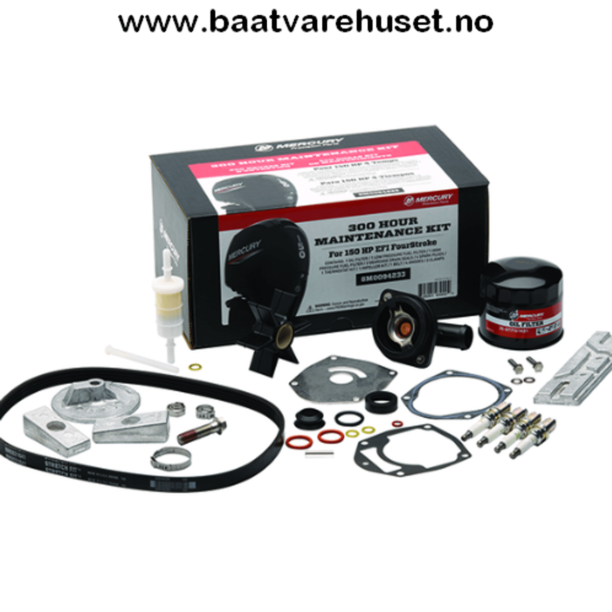 300 timer servicekit 150EFI Four Stroke 
